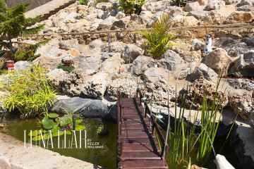 Casas o chalets-Venta-Sitges-2237379-Foto-46-Carrousel