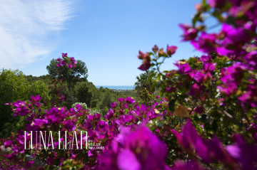 Casas o chalets-Venta-Castelldefels-2285716-Foto-7-Carrousel