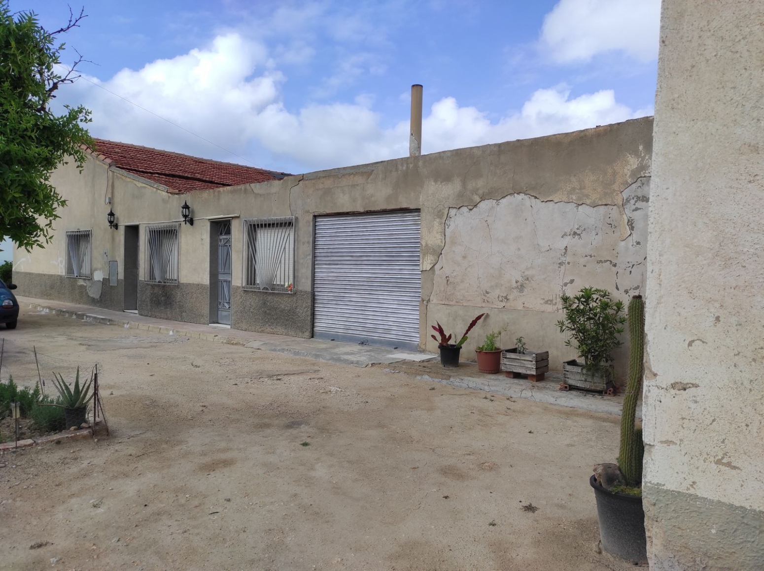 Fincas y solares-Venta-Elche-568311-Foto-14