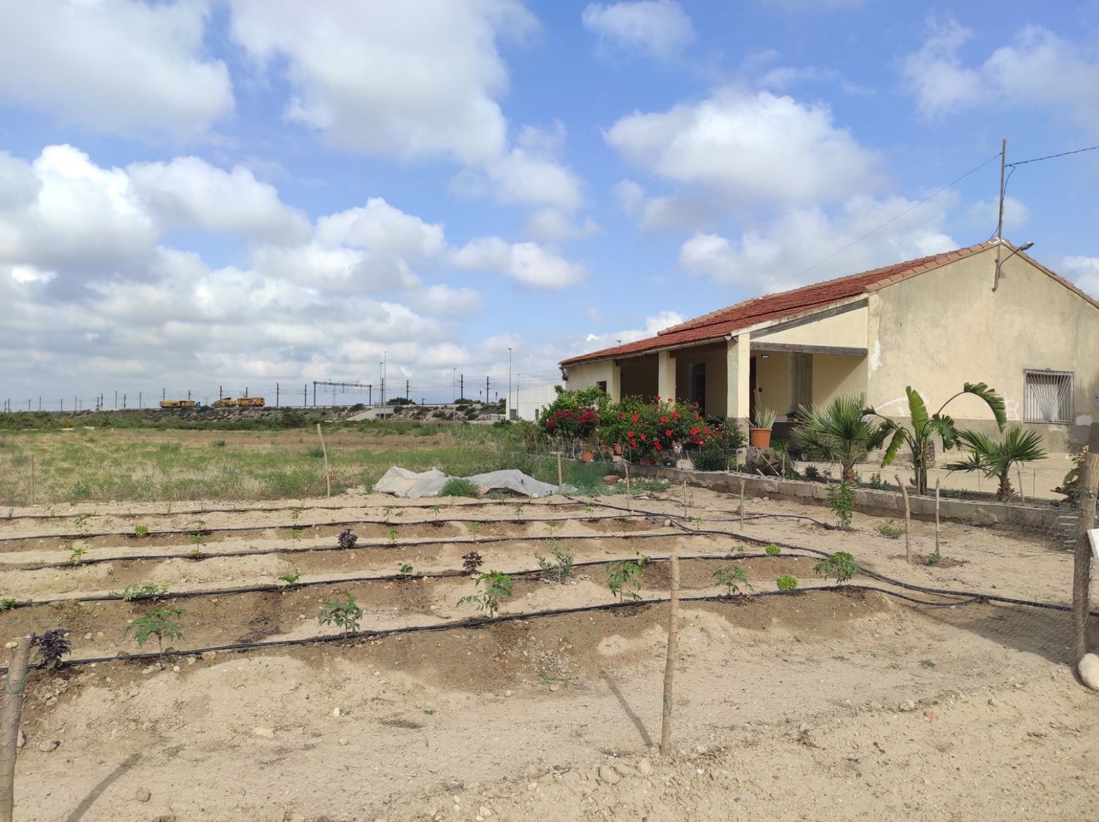 Fincas y solares-Venta-Elche-568311-Foto-12