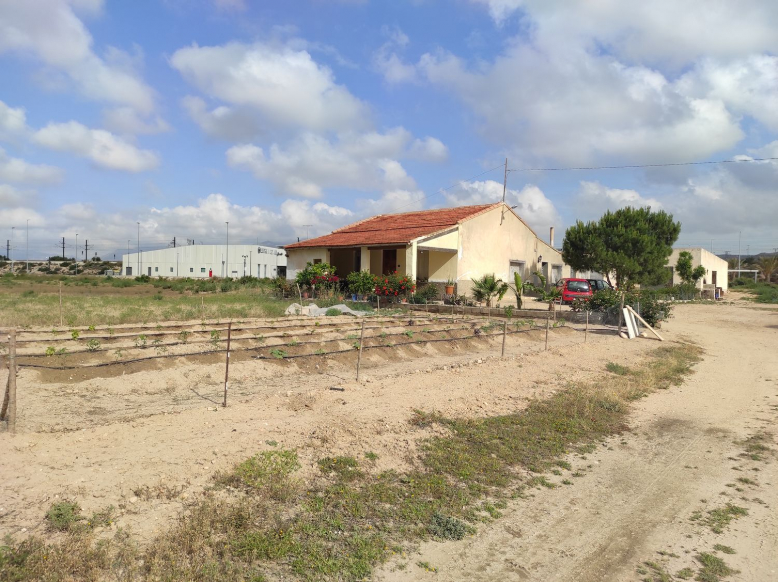 Fincas y solares-Venta-Elche-568311-Foto-11