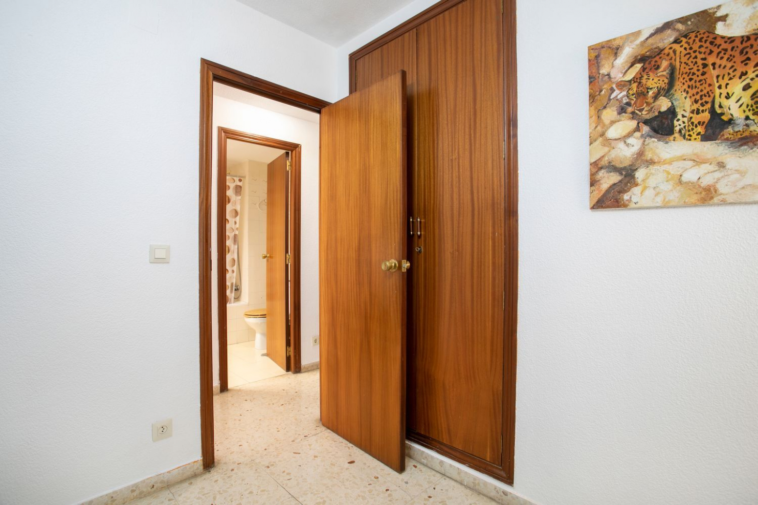 Pisos-Venta-Alicante-568430-Foto-13