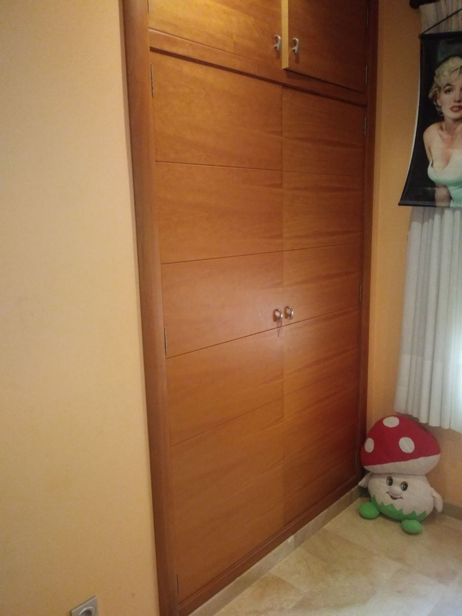 Pisos-Venta-Elche-568445-Foto-14