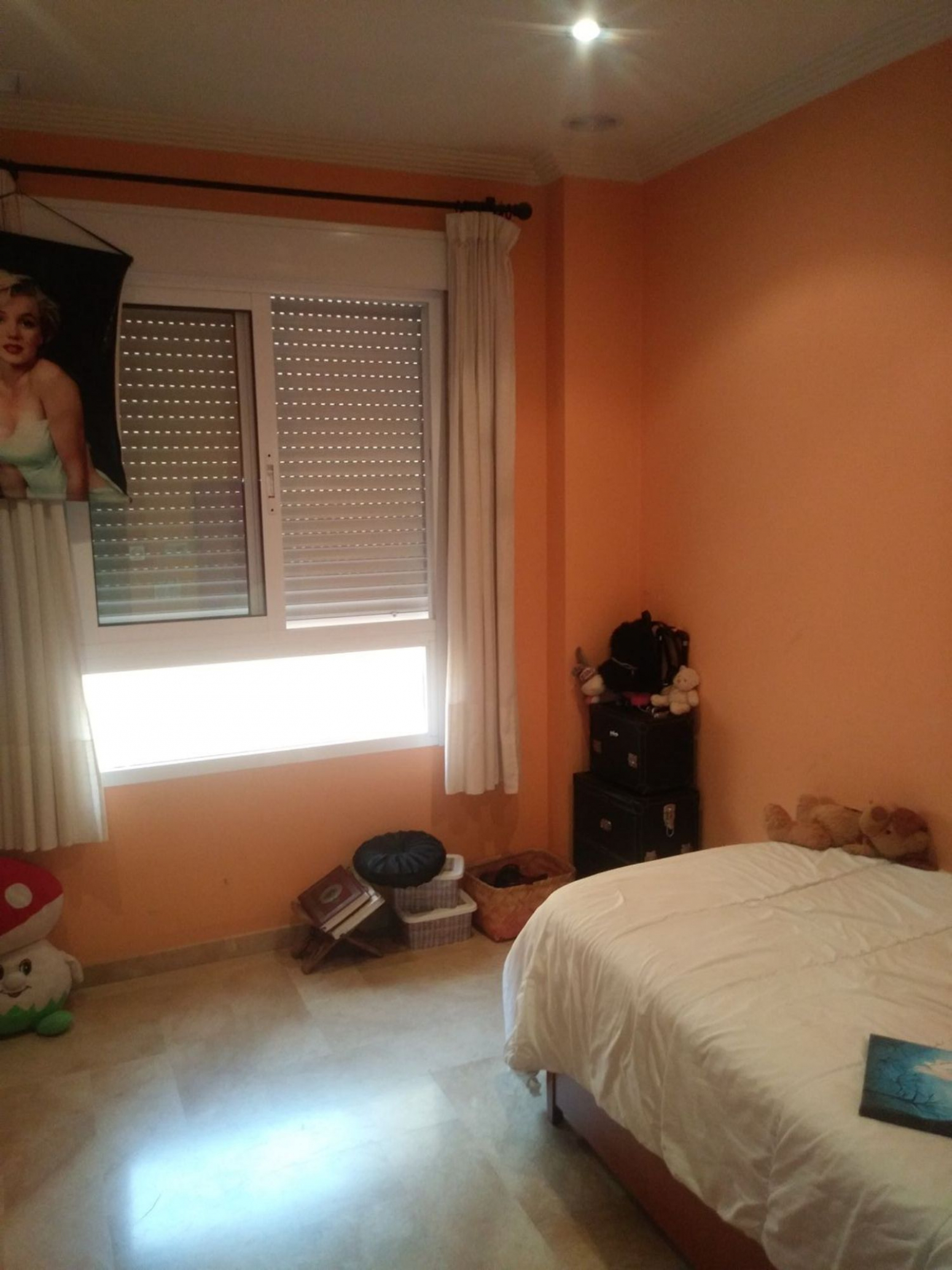 Pisos-Venta-Elche-568445-Foto-13