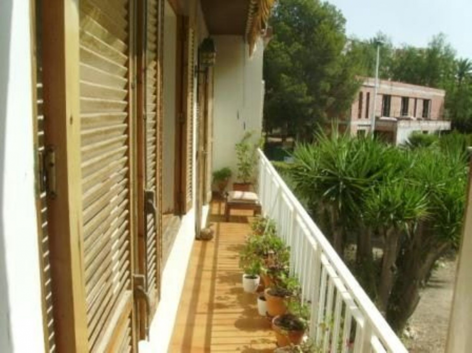 Casas o chalets-Venta-Elche-568467-Foto-3