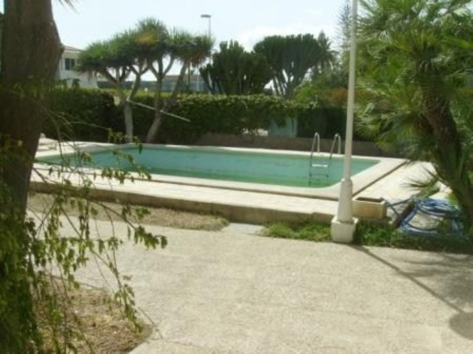 Casas o chalets-Venta-Elche-568467-Foto-8