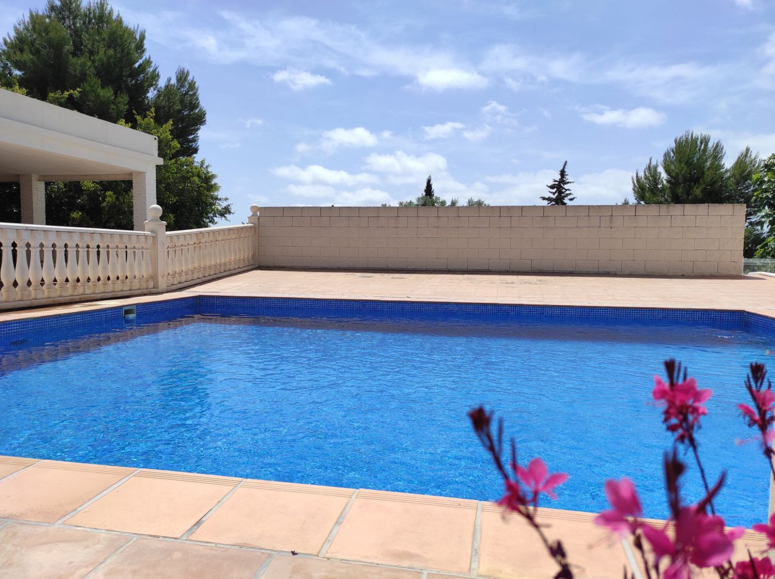 Casas o chalets-Venta-Elche-568490-Foto-2