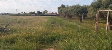 Fincas y solares-Venta-Elche-568584-Foto-7-Carrousel