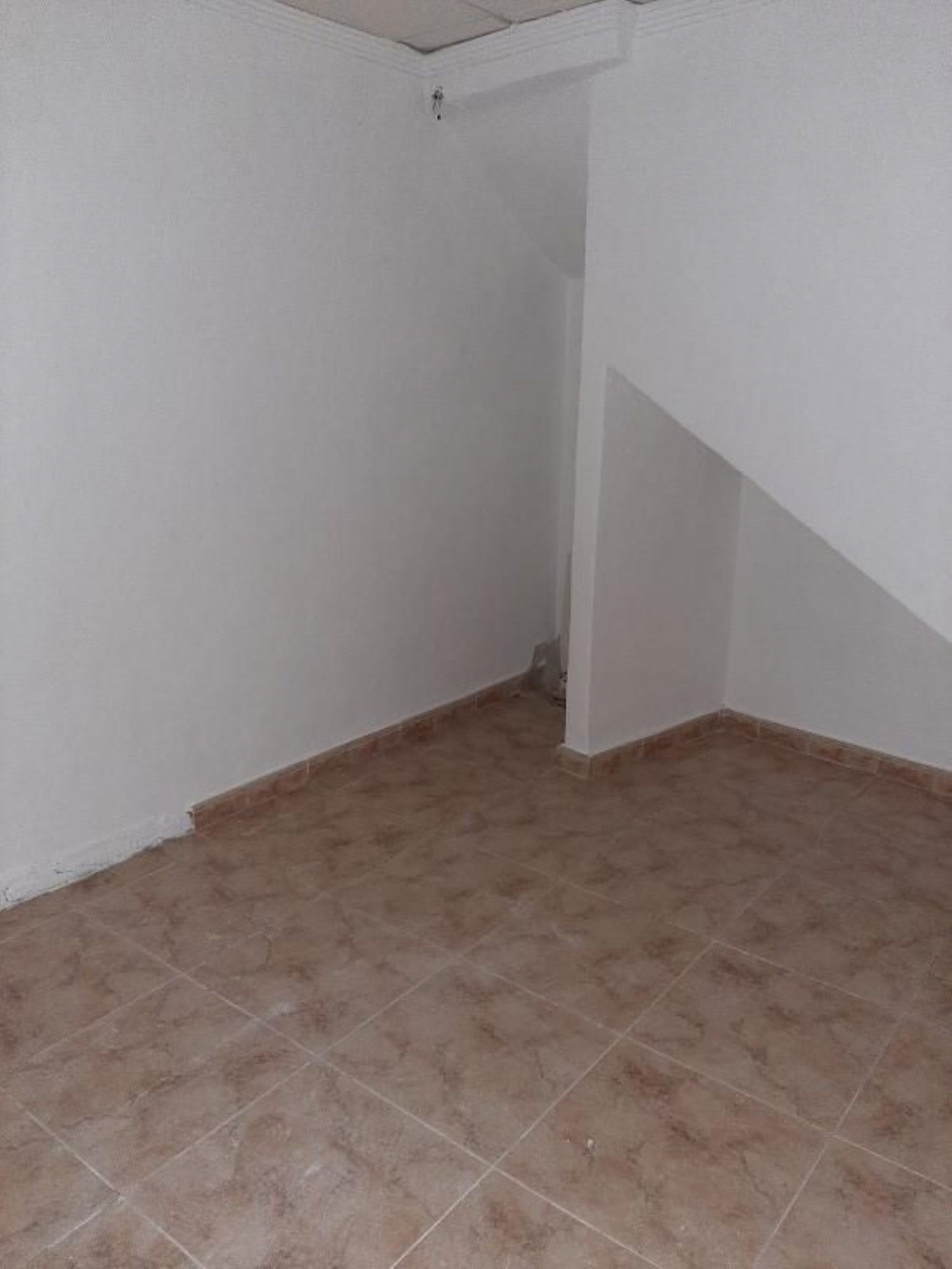 Pisos-Venta-Catral-568641-Foto-10