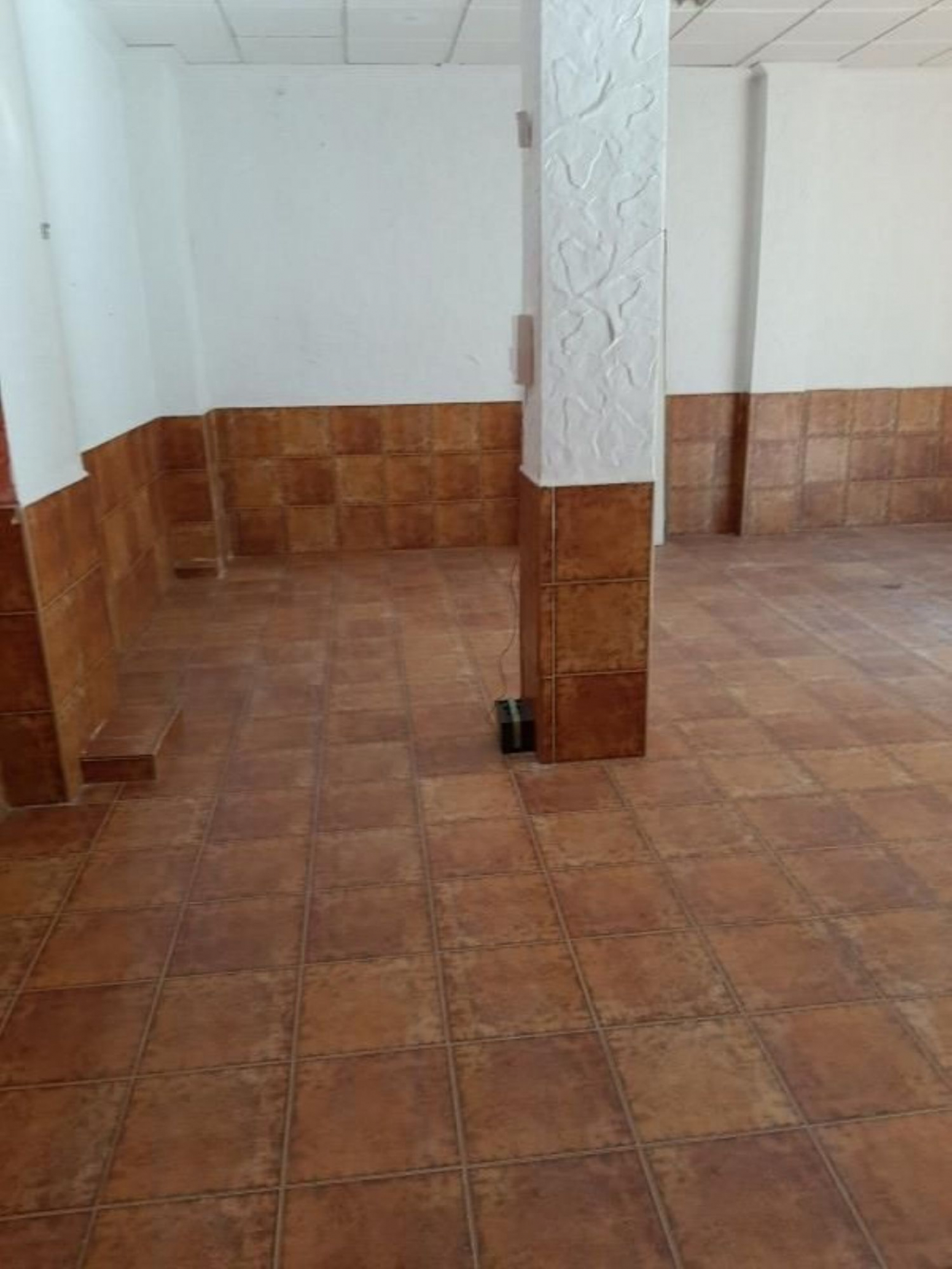 Locales-Venta-Rafal-568685-Foto-7