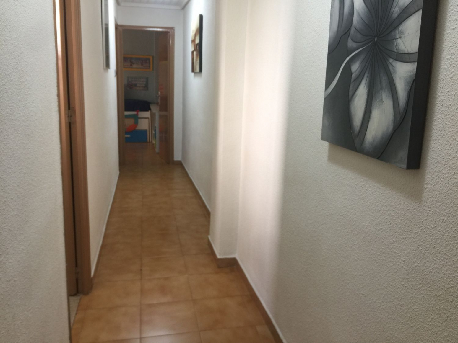 Pisos-Venta-Elche-568745-Foto-3