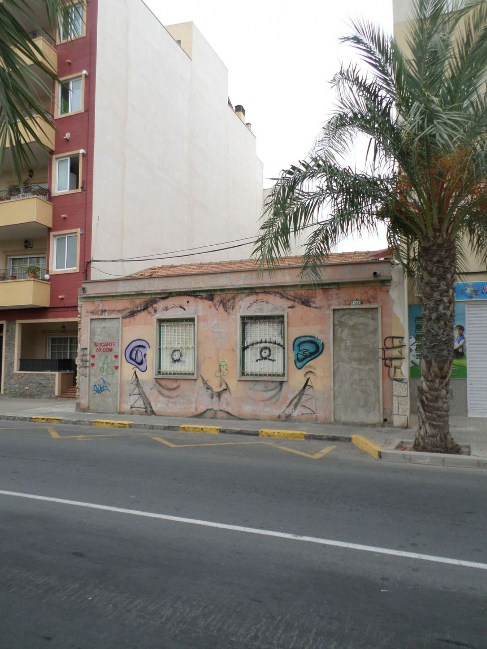 Fincas y solares-Venta-Elche-568755-Foto-10