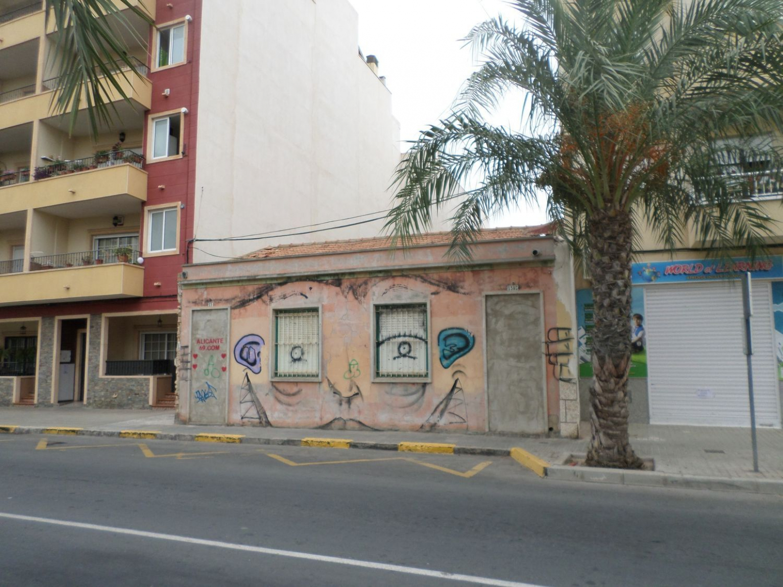 Fincas y solares-Venta-Elche-568755-Foto-4