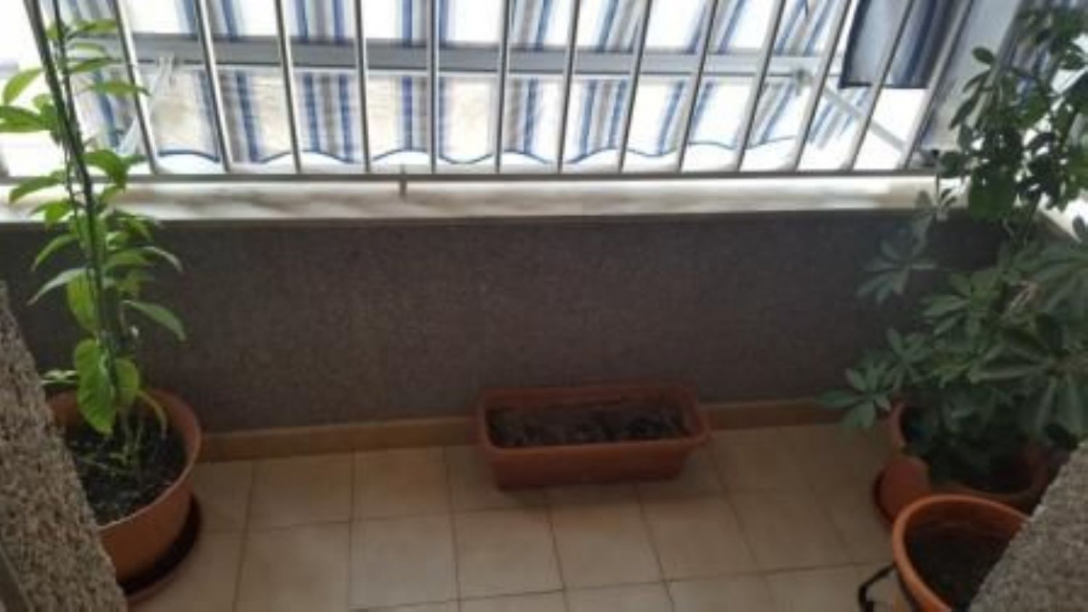 Pisos-Venta-Elche-568860-Foto-21