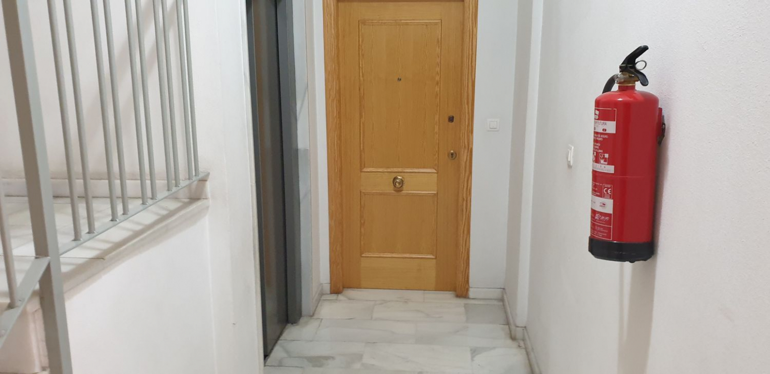 Pisos-Venta-Elche-568878-Foto-15