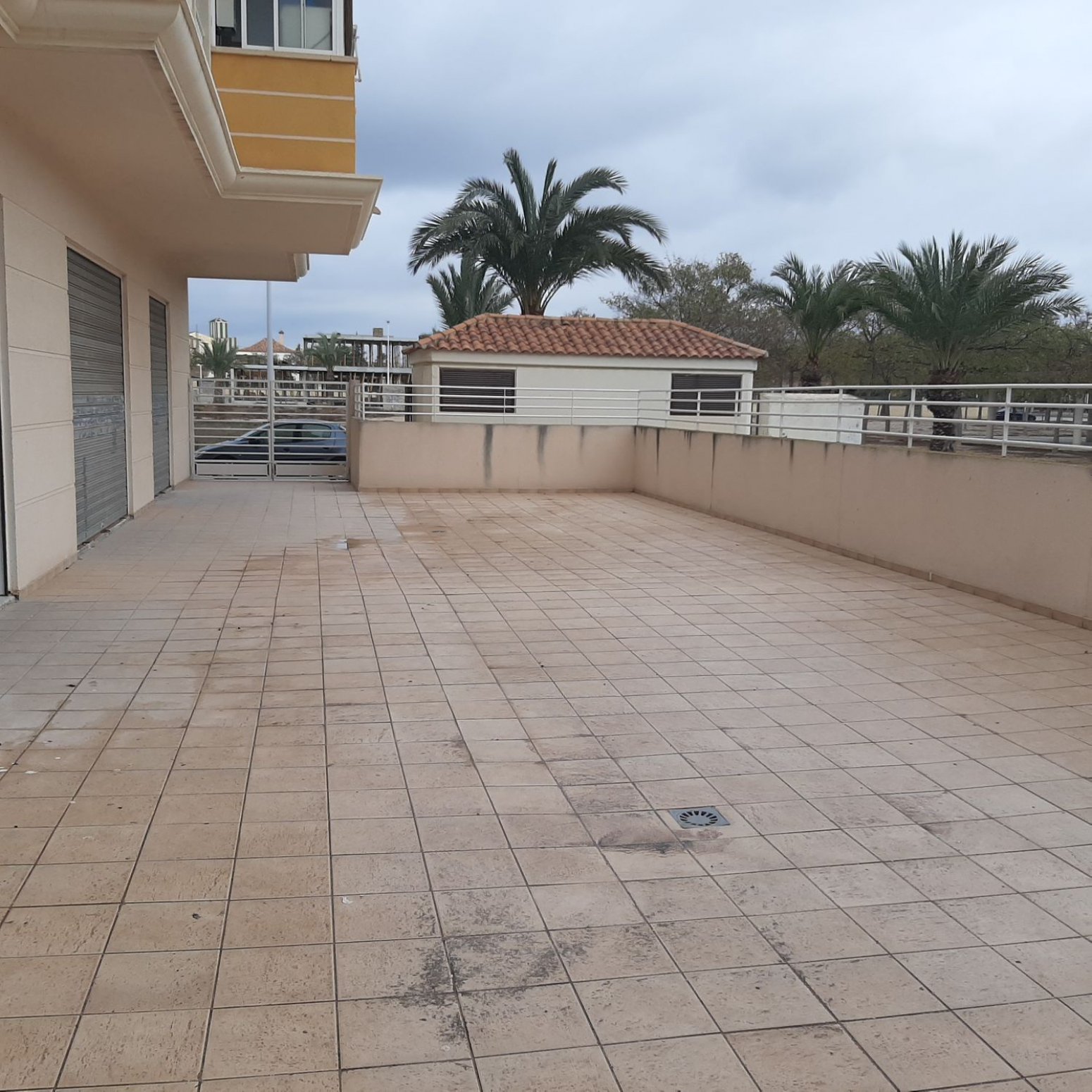 Locales-Venta-Elche-568906-Foto-13