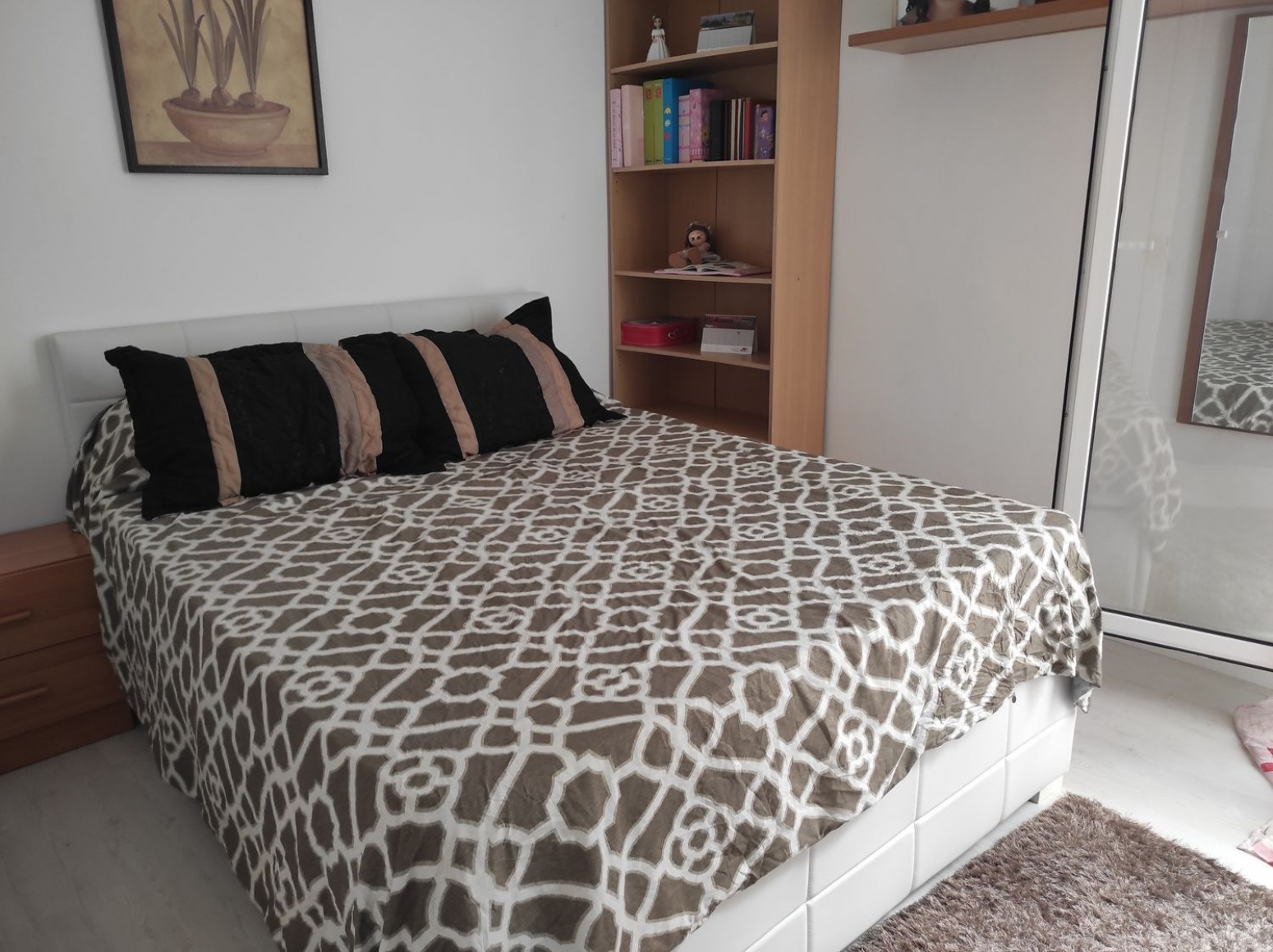 Pisos-Venta-Elche-583475-Foto-12