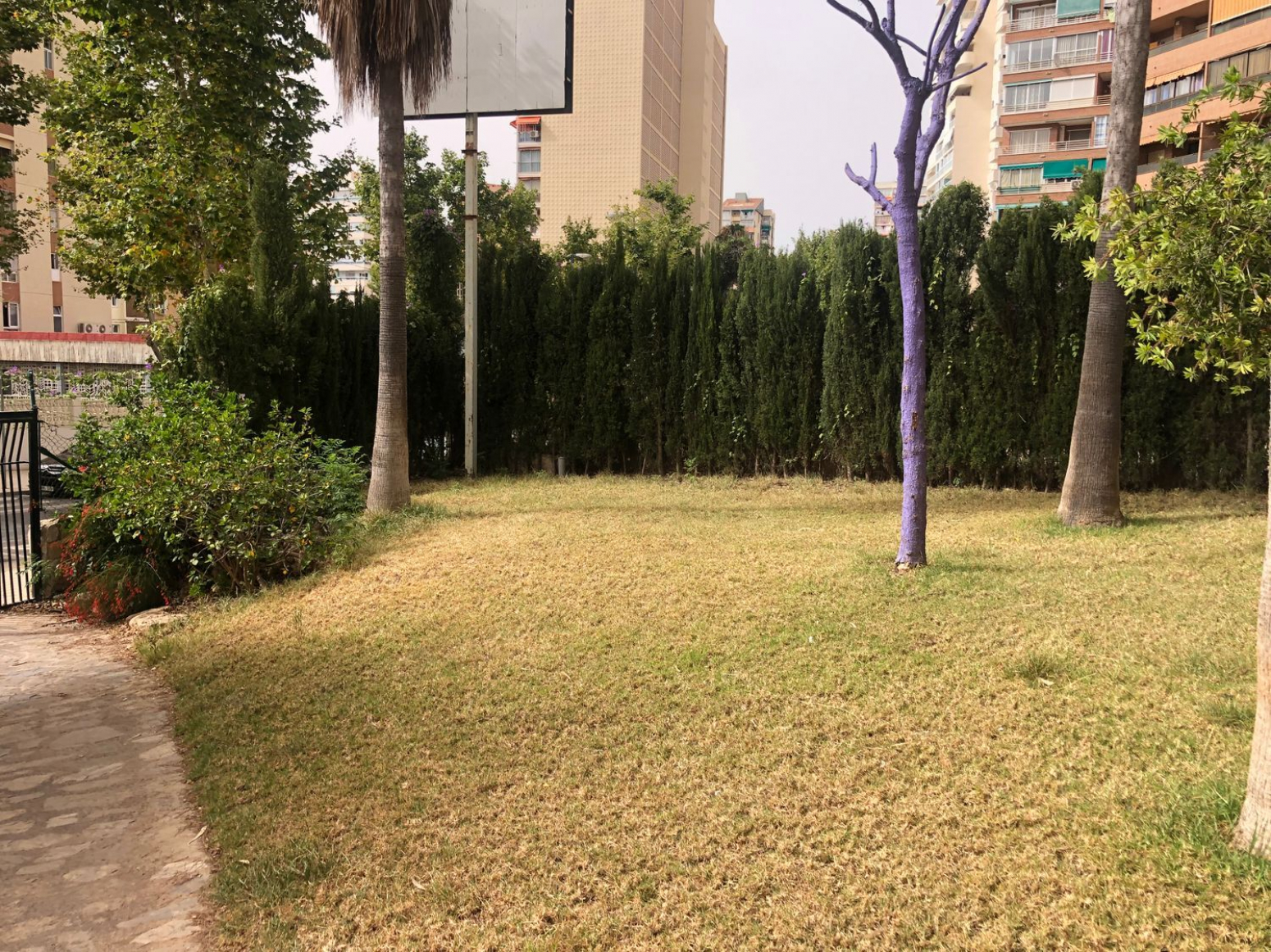 Pisos-Venta-Benidorm-592749-Foto-23