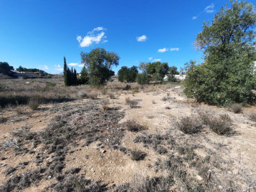 Fincas y solares-Venta-San Vicente del Raspeig-677152-Foto-5-Carrousel