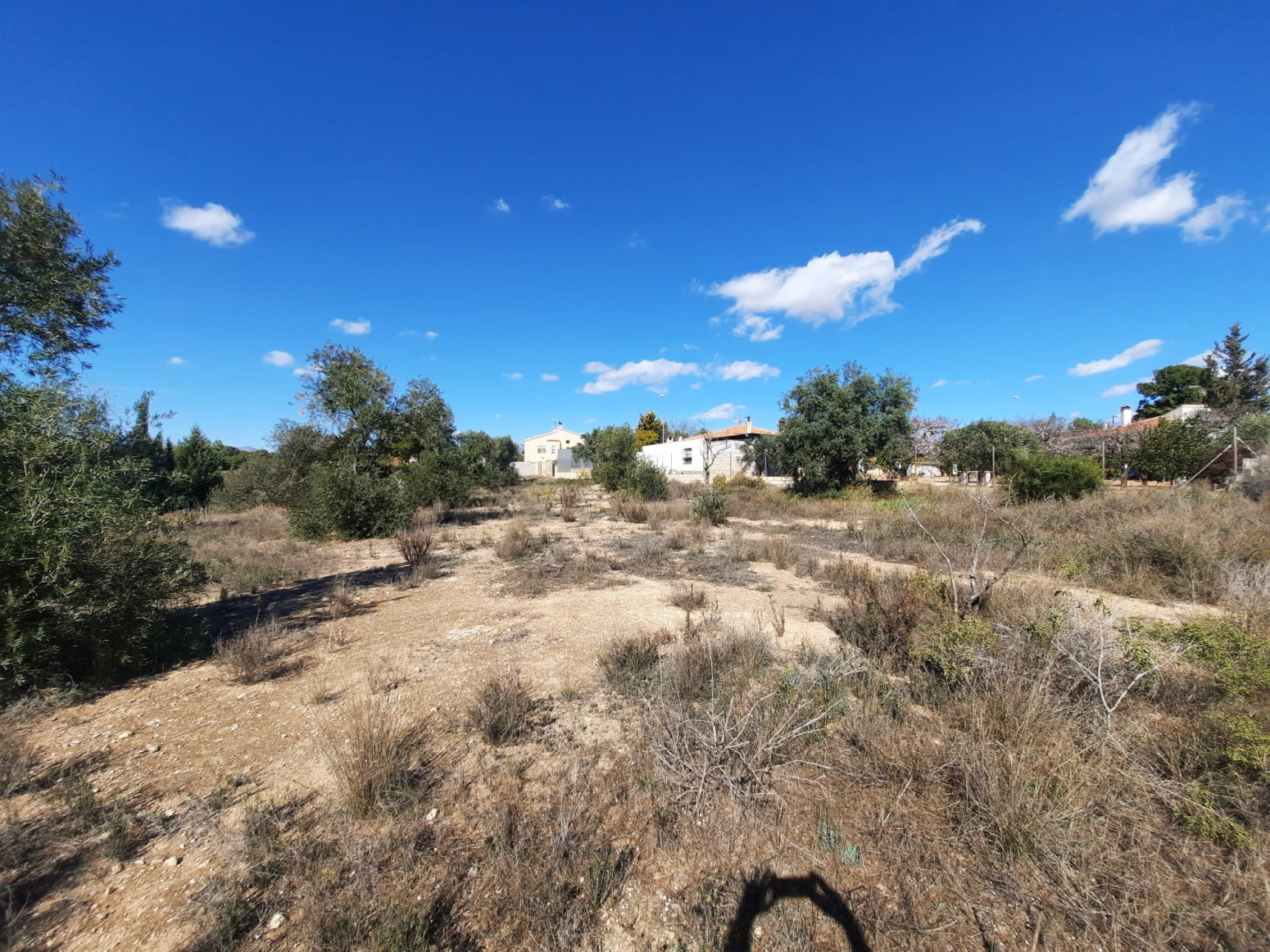 Fincas y solares-Venta-San Vicente del Raspeig-677152-Foto-5