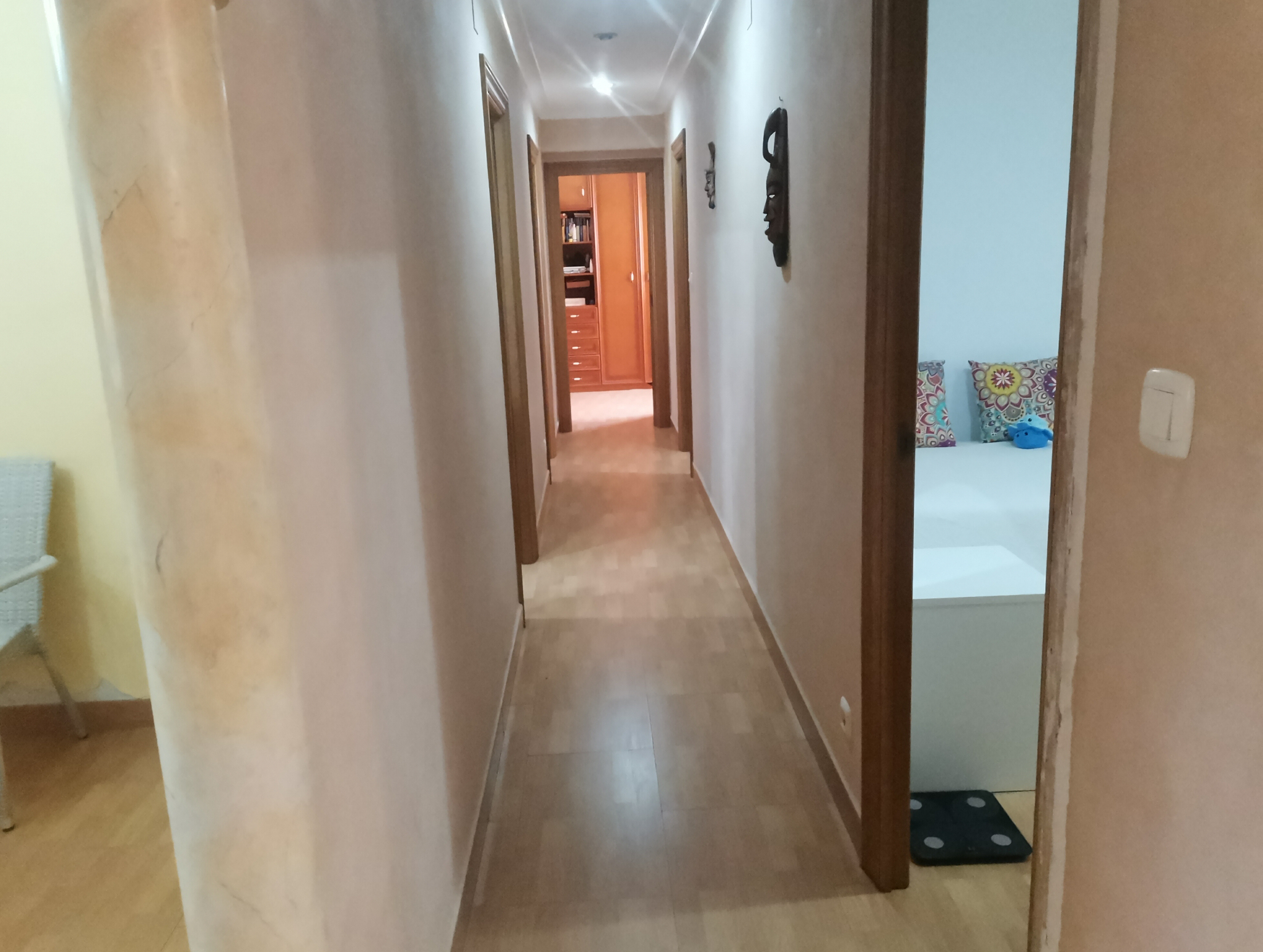 Casas o chalets-Venta-Elche-686279-Foto-61