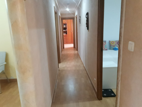 Casas o chalets-Venta-Elche-686279-Foto-60-Carrousel