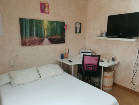 Casas o chalets-Venta-Elche-686279-Foto-49-Carrousel