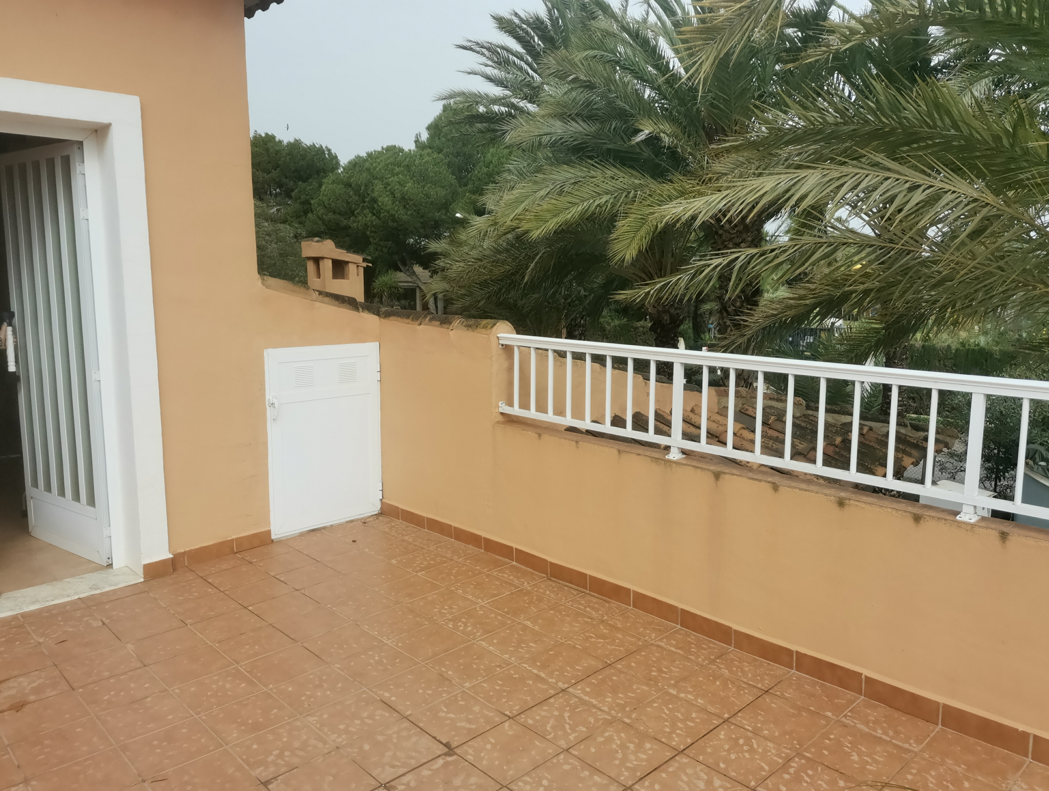 Casas o chalets-Venta-Elche-686279-Foto-34