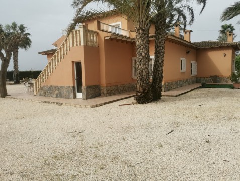 Casas o chalets-Venta-Elche-686279-Foto-18-Carrousel