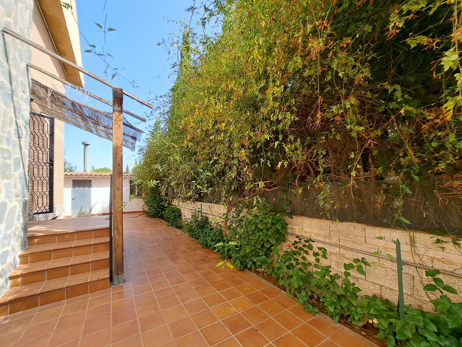 Casas o chalets-Venta-San Vicente del Raspeig-704268-Foto-76