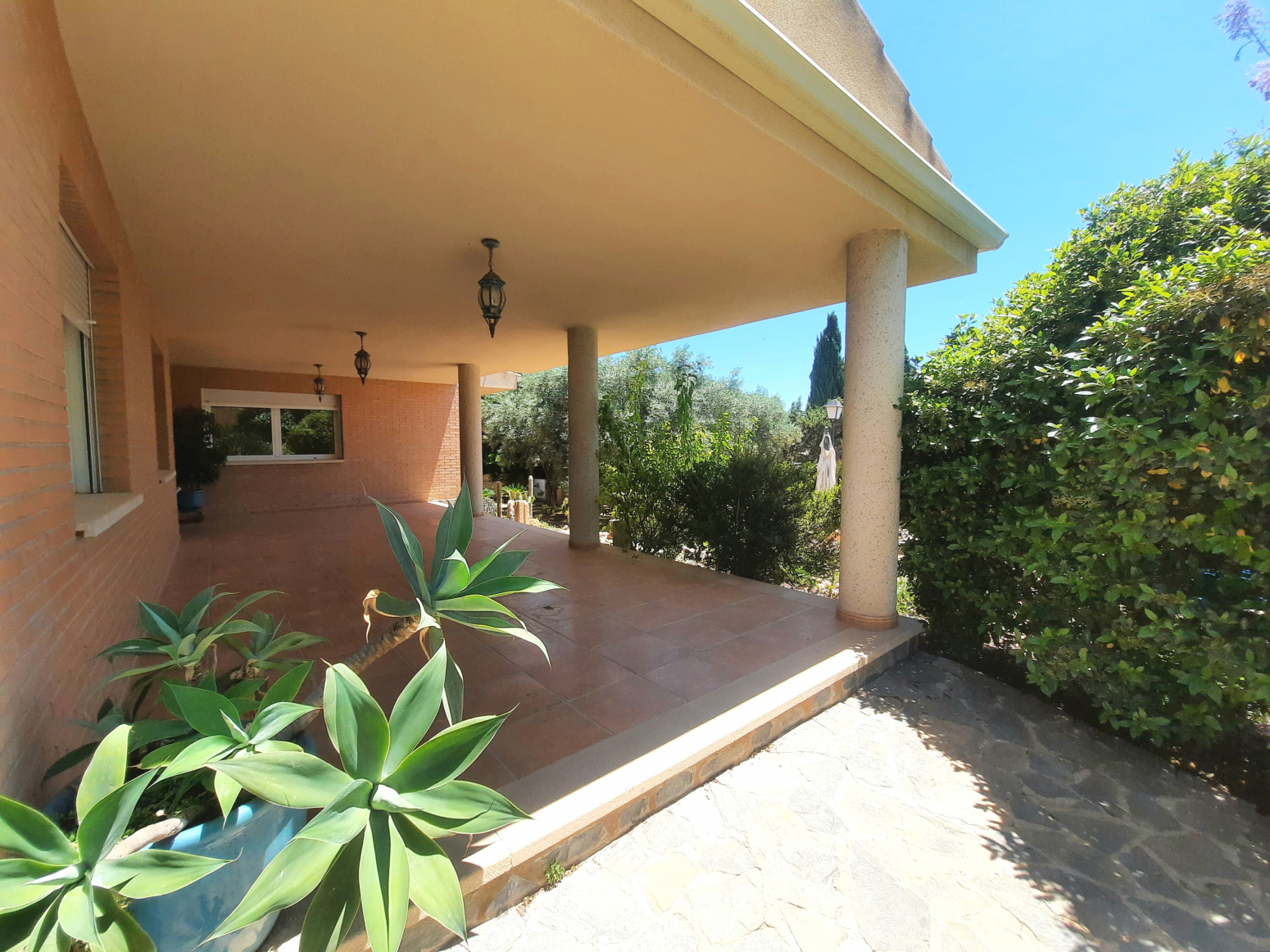 Casas o chalets-Venta-San Vicente del Raspeig-704268-Foto-4