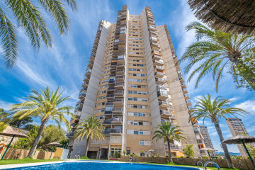 Pisos-Venta-Benidorm-705399-Foto-26-Carrousel