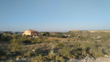 Fincas y solares-Venta-Elche-708465-Foto-4-Carrousel