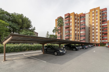 Pisos-Venta-Alicante-742952-Foto-16-Carrousel