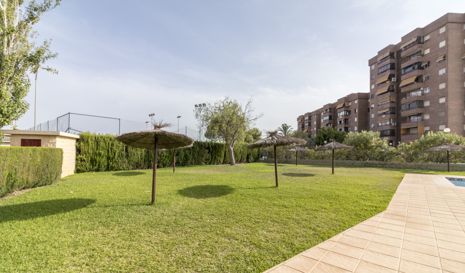 Pisos-Venta-Alicante-742952-Foto-20