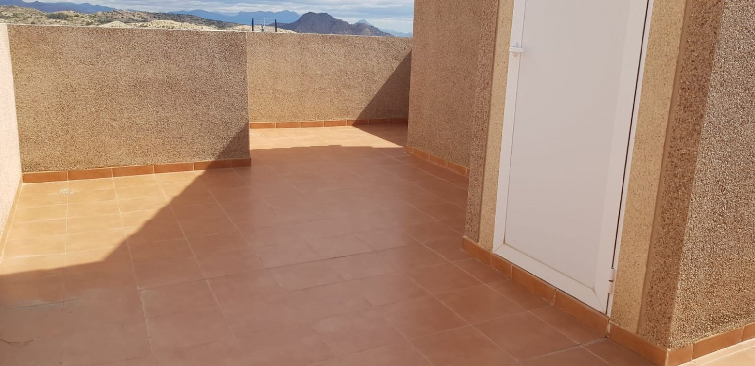 Casas o chalets-Alquiler-Monforte del Cid-743425-Foto-20