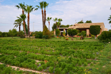 Casas o chalets-Venta-Elche-751753-Foto-20-Carrousel