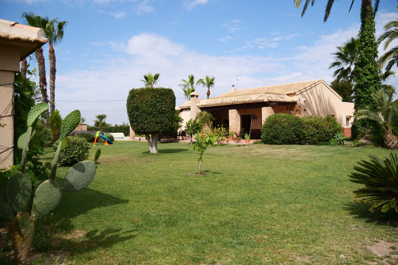 Casas o chalets-Venta-Elche-751753-Foto-22