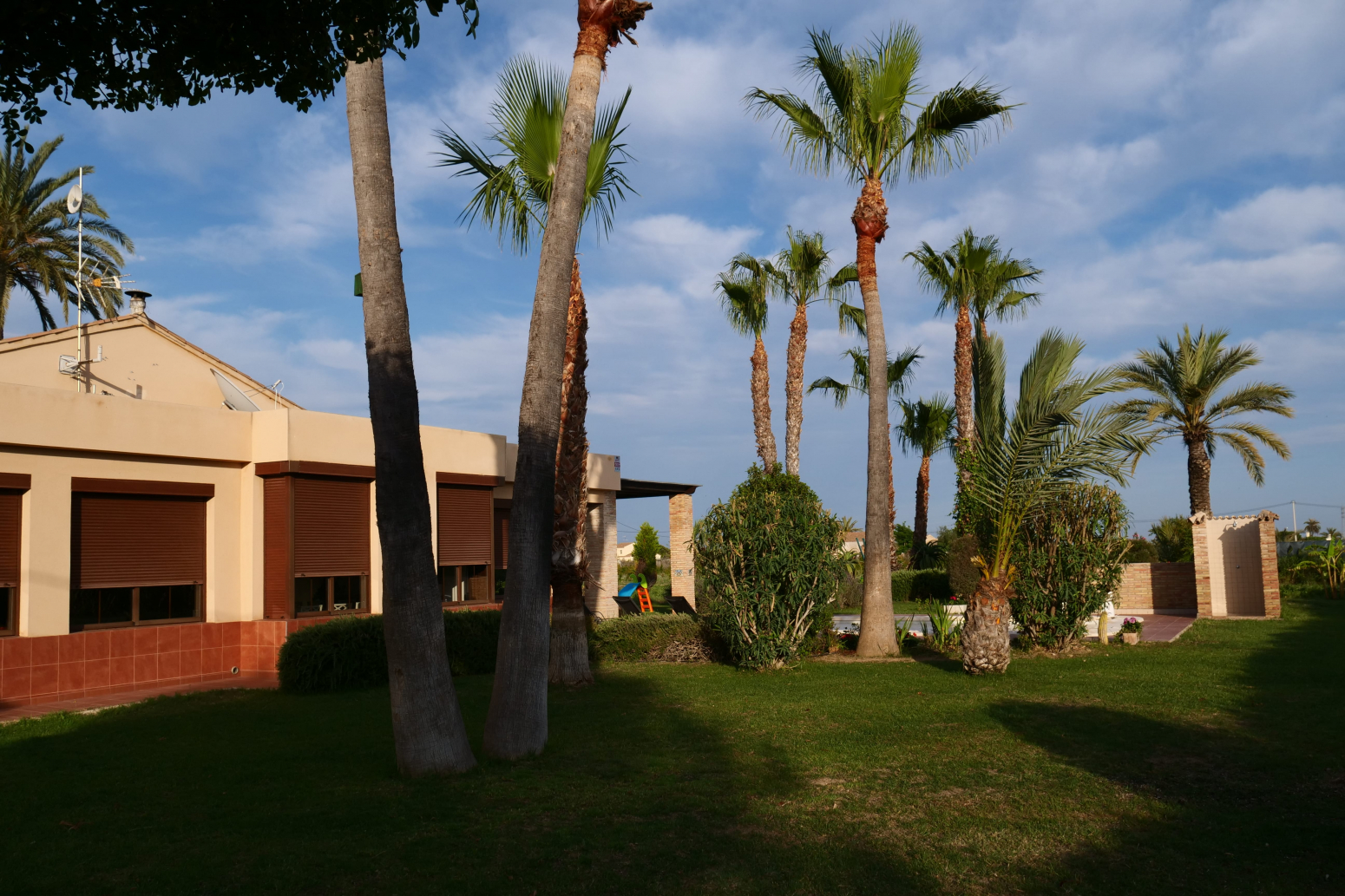 Casas o chalets-Venta-Elche-751753-Foto-27