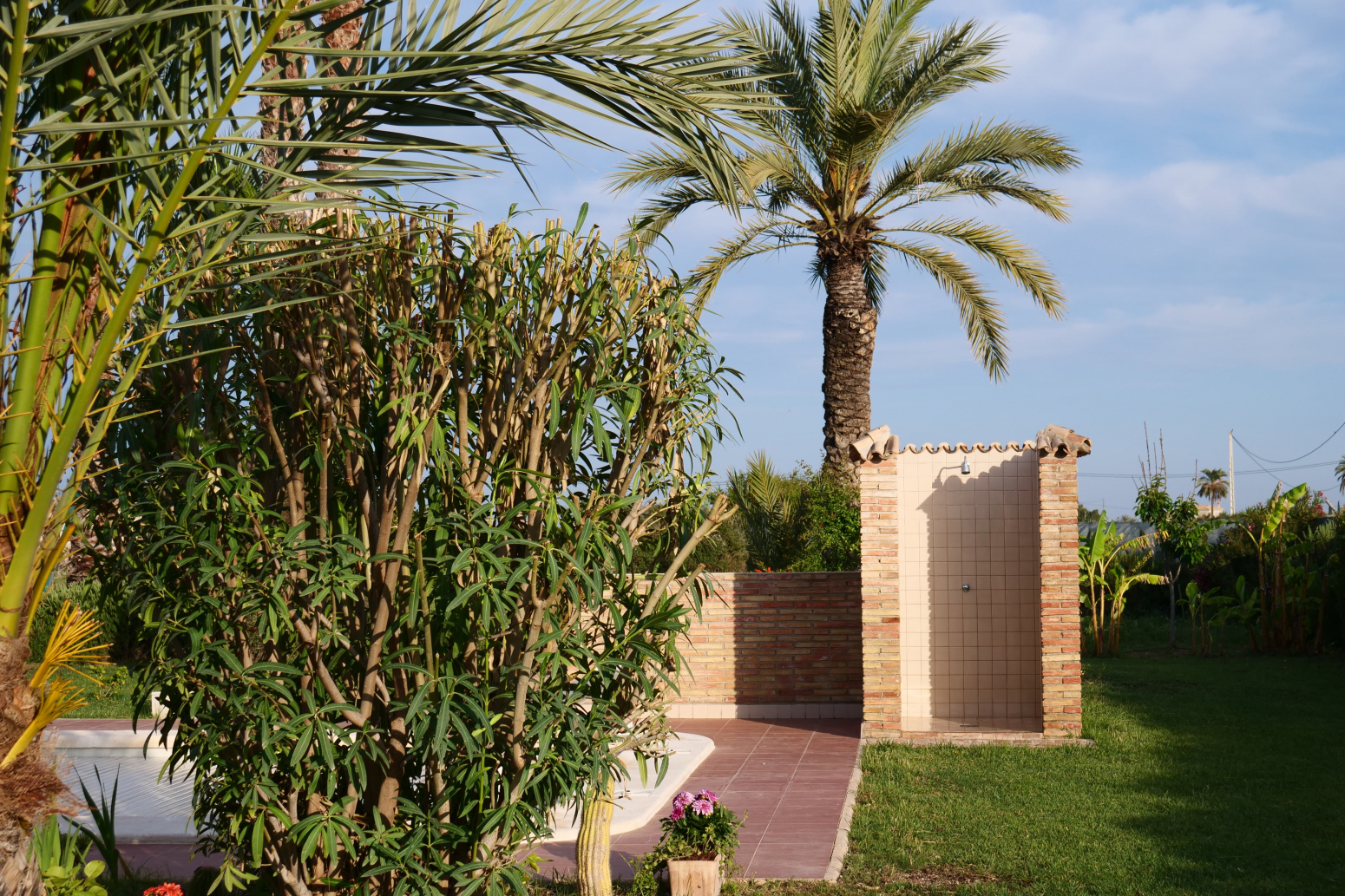 Casas o chalets-Venta-Elche-751753-Foto-26