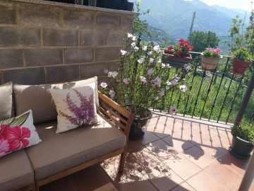 Casas o chalets-Venta-Lena-1385279-Foto-28-Carrousel