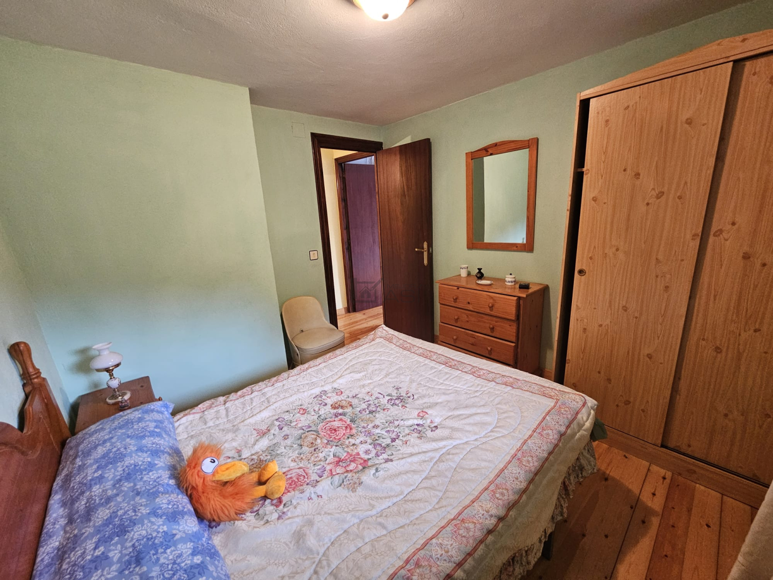 Casas o chalets-Venta-Mieres-1424947-Foto-19