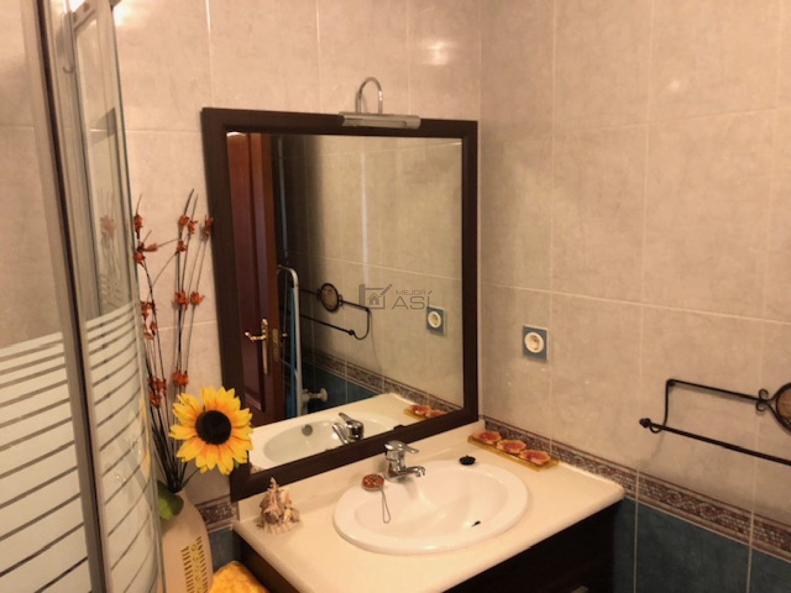 Pisos-Venta-AvilÃ©s-1429751-Foto-9