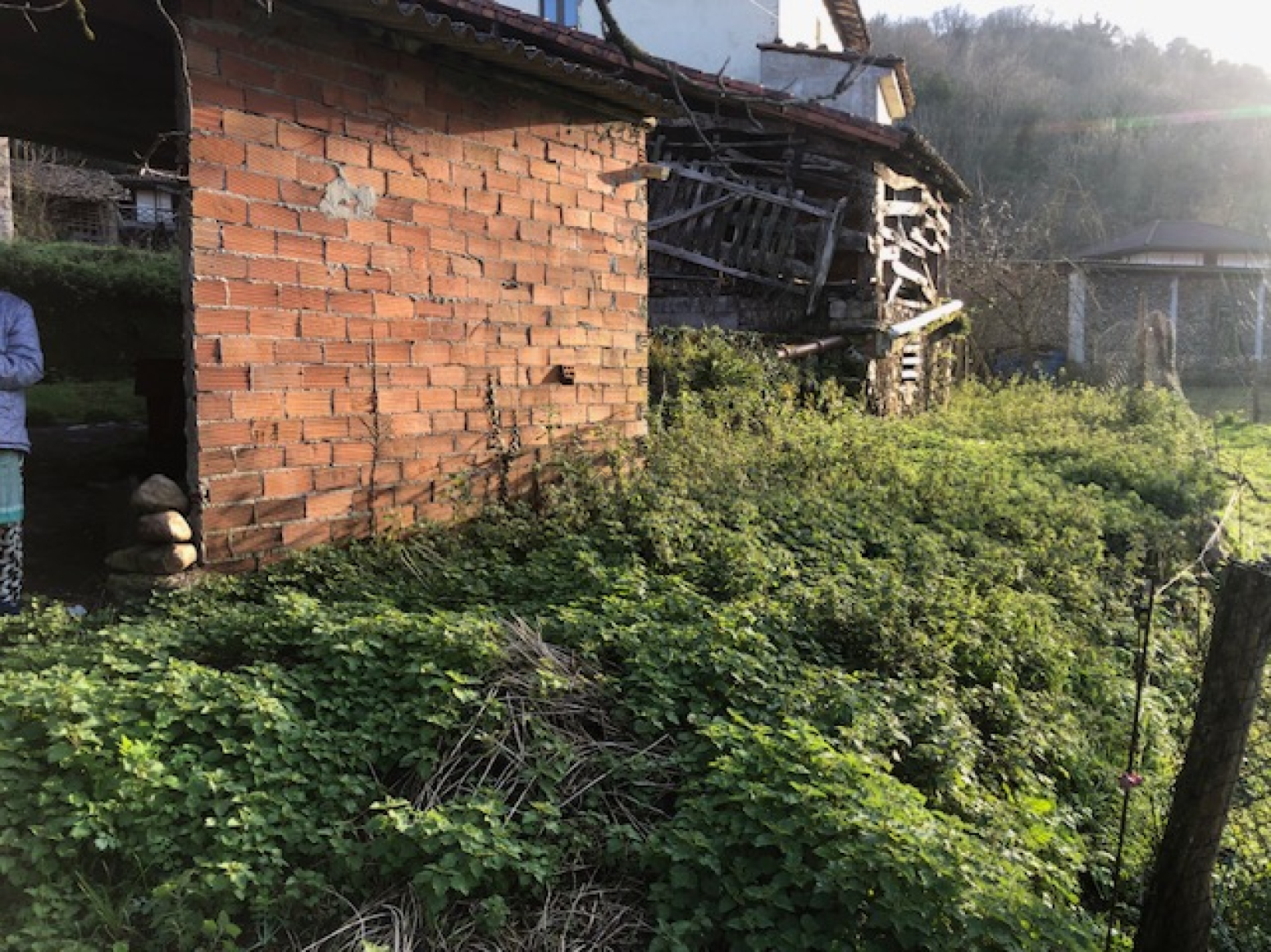 Casas o chalets-Venta-Belmonte de Miranda-1639459-Foto-20