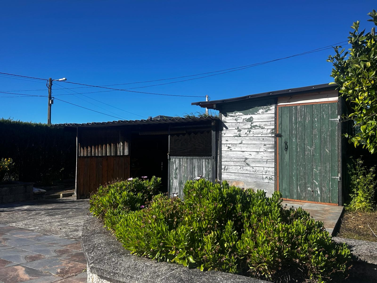 Casas o chalets-Venta-ValdÃ©s-2335806-Foto-54