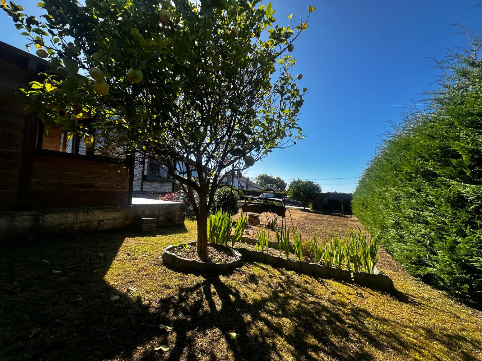 Casas o chalets-Venta-ValdÃ©s-2335806-Foto-10