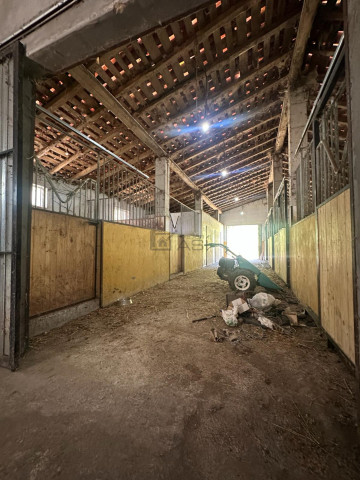 Fincas y solares-Venta-Mieres-2337590-Foto-17-Carrousel