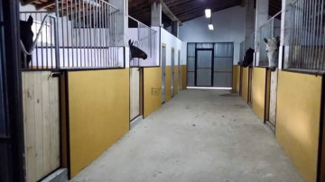 Fincas y solares-Venta-Mieres-2337590-Foto-7-Carrousel