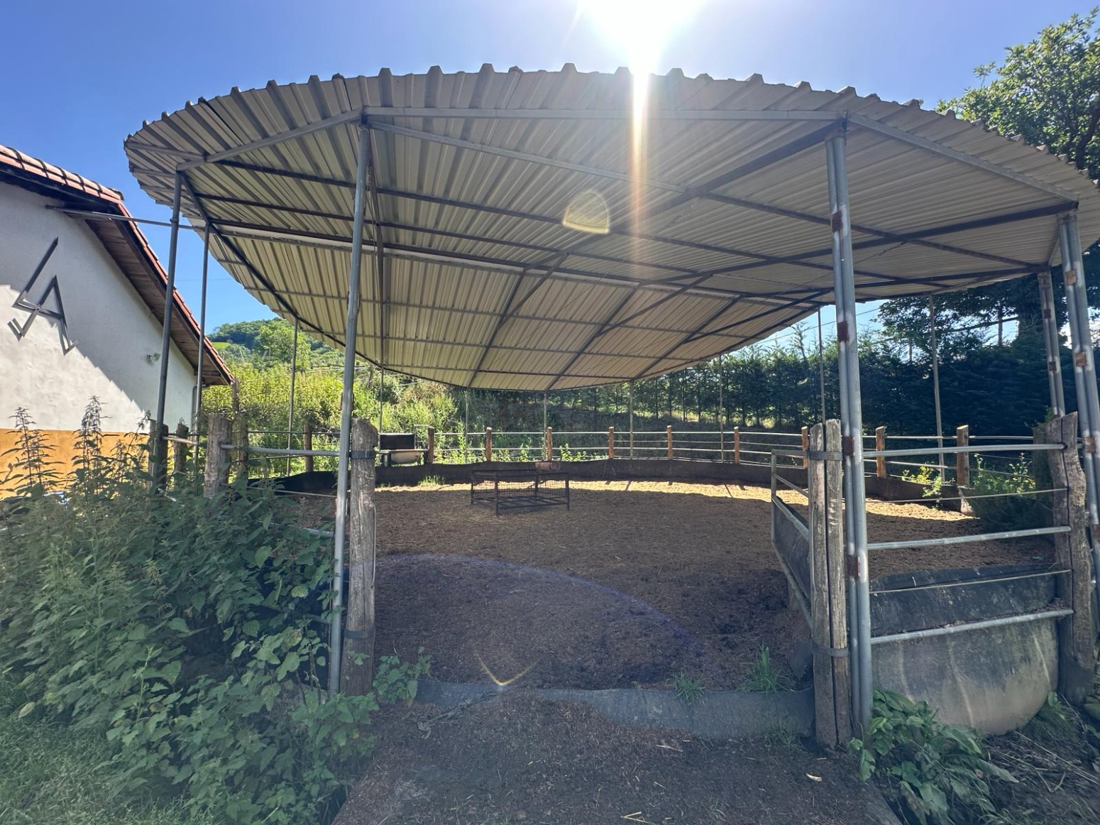 Fincas y solares-Venta-Mieres-2337590-Foto-5