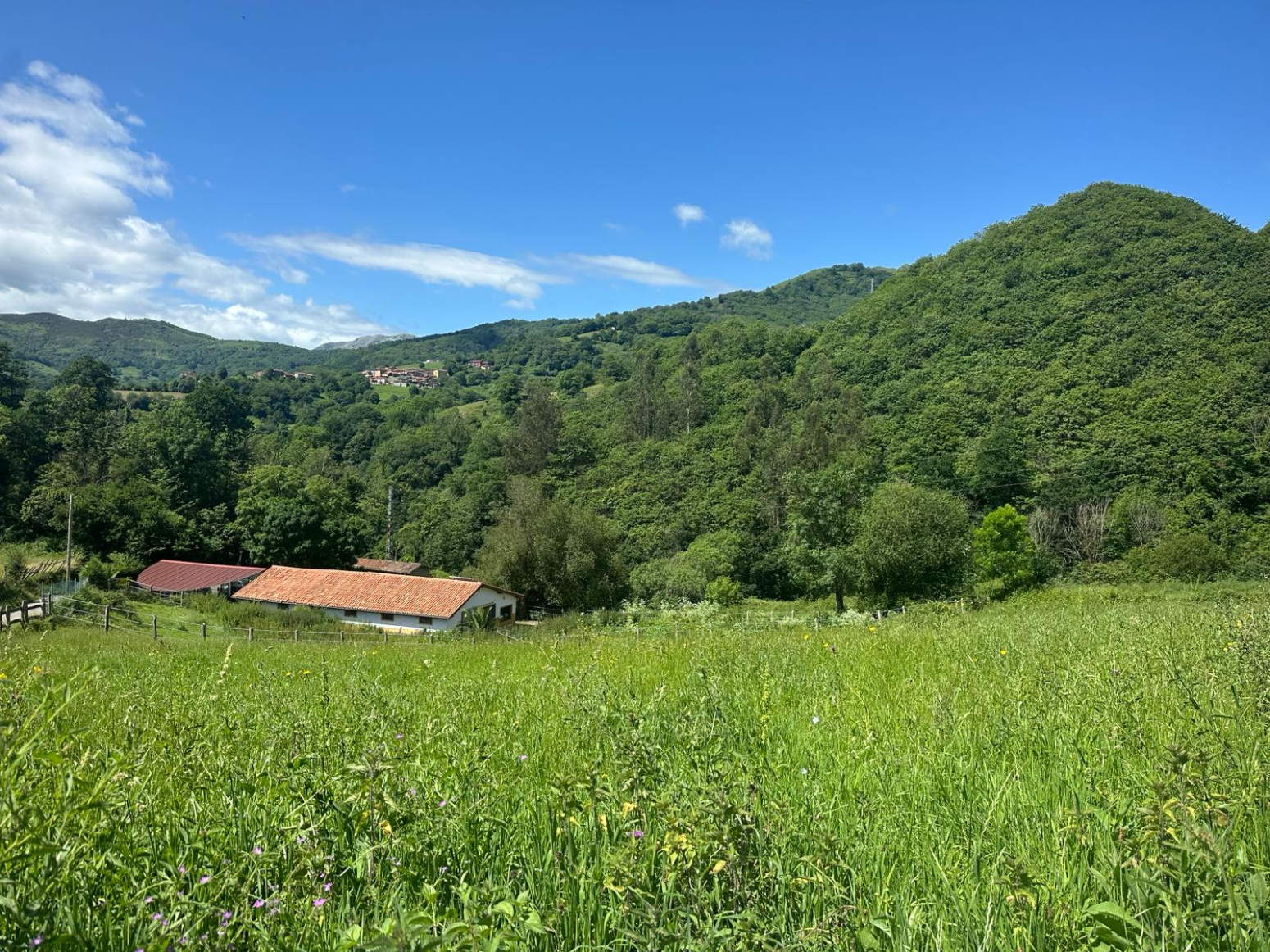 Fincas y solares-Venta-Mieres-2337590-Foto-44